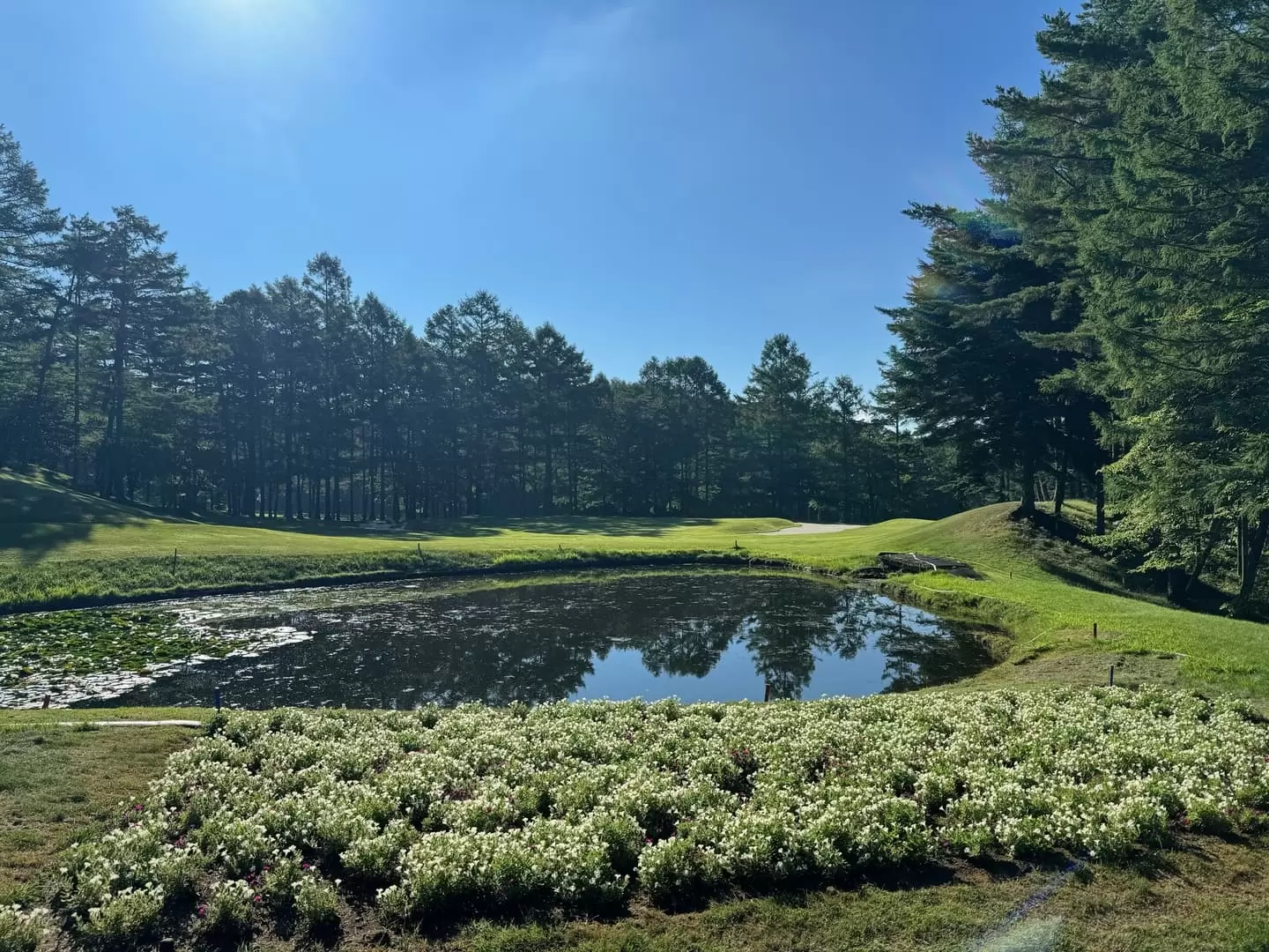 丘の公園清里ゴルフコースの公式サイトの画像(4/12)