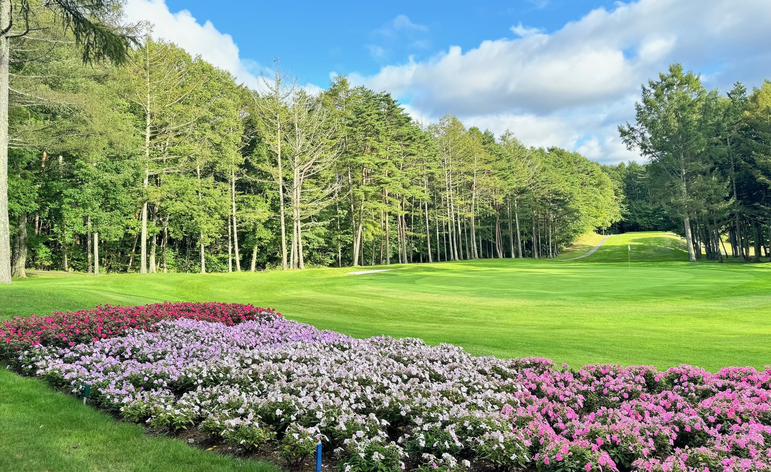 丘の公園清里ゴルフコースの公式サイトの画像