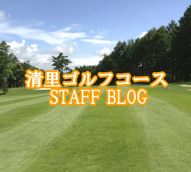 丘の公園清里ゴルフコースの公式サイトの画像(12/12)